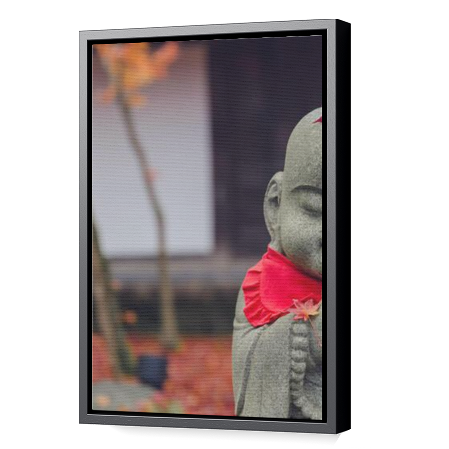 Thumbnail for Canvas - Black Floating Frame