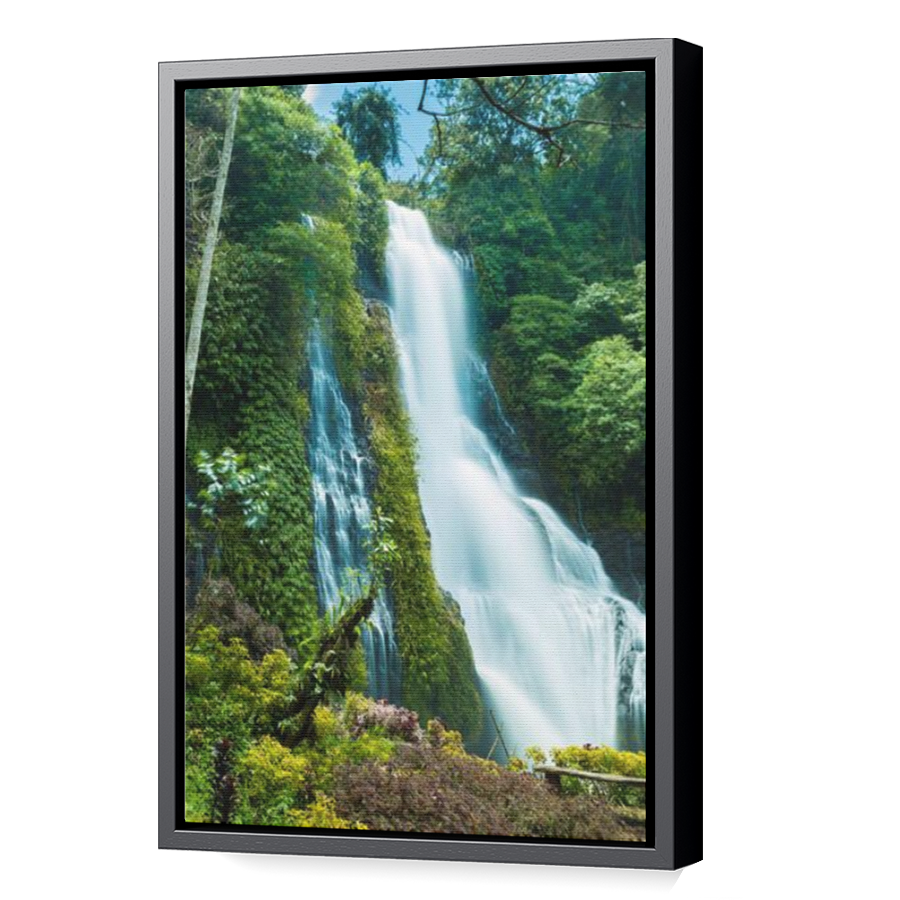 Thumbnail for Canvas - Black Floating Frame