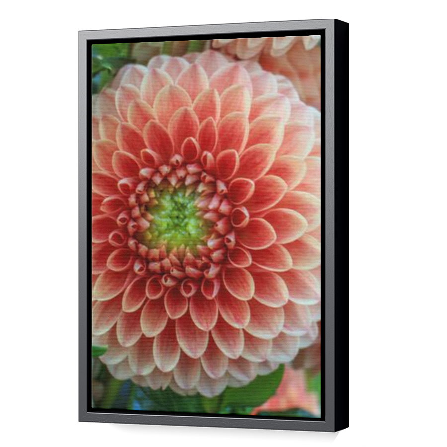 Thumbnail for Canvas - Black Floating Frame