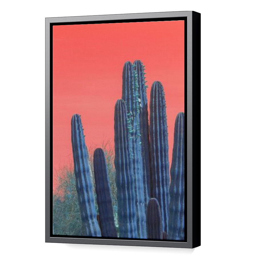 Thumbnail for Canvas - Black Floating Frame