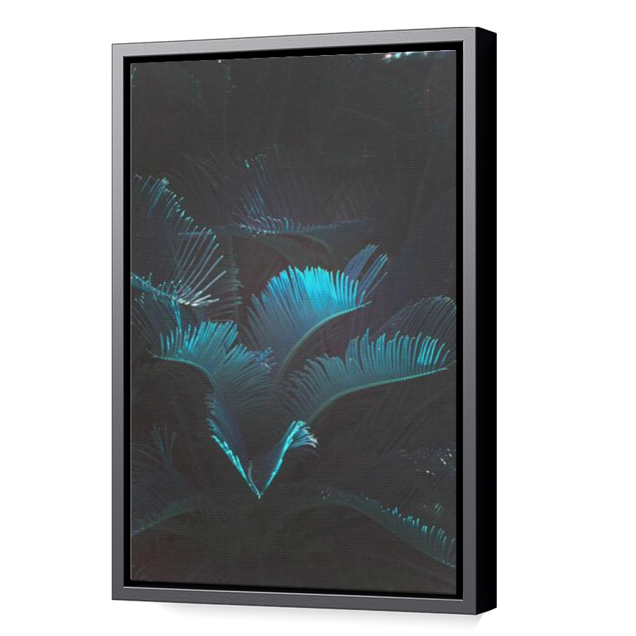 Thumbnail for Canvas - Black Floating Frame