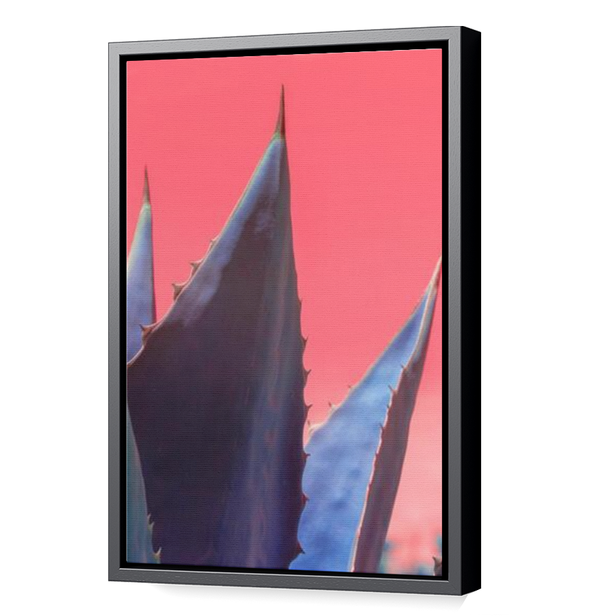 Thumbnail for Canvas - Black Floating Frame