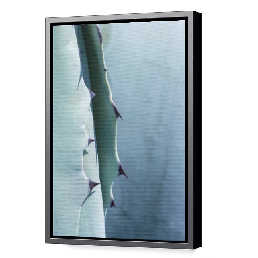 Thumbnail for Canvas - Black Floating Frame