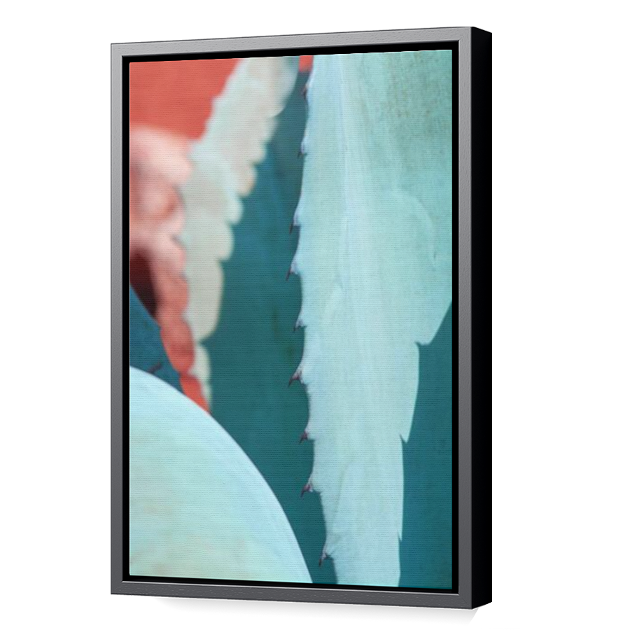 Thumbnail for Canvas - Black Floating Frame
