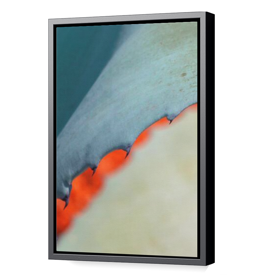 Thumbnail for Canvas - Black Floating Frame