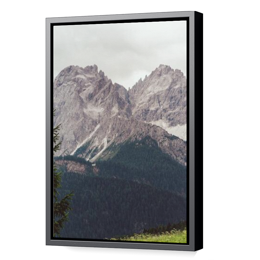 Thumbnail for Canvas - Black Floating Frame
