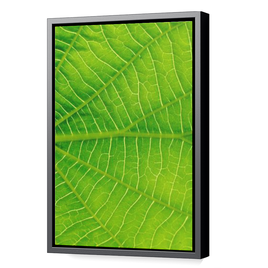 Thumbnail for Canvas - Black Floating Frame