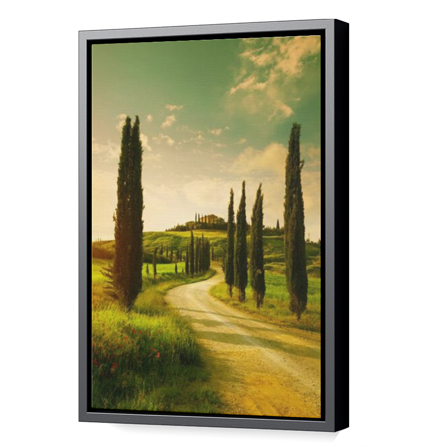 Thumbnail for Canvas - Black Floating Frame