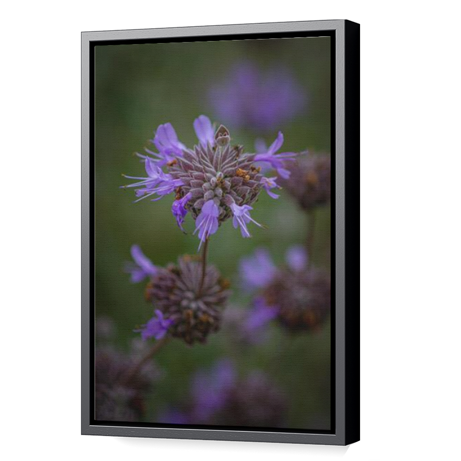 Thumbnail for Canvas - Black Floating Frame