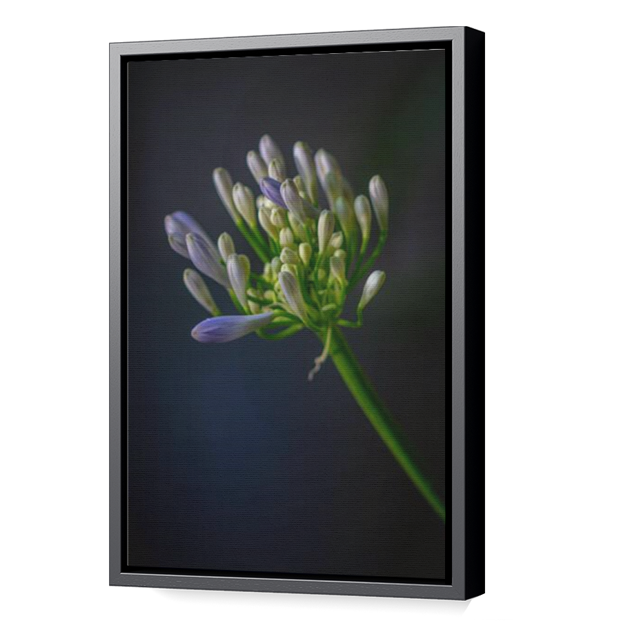 Thumbnail for Canvas - Black Floating Frame