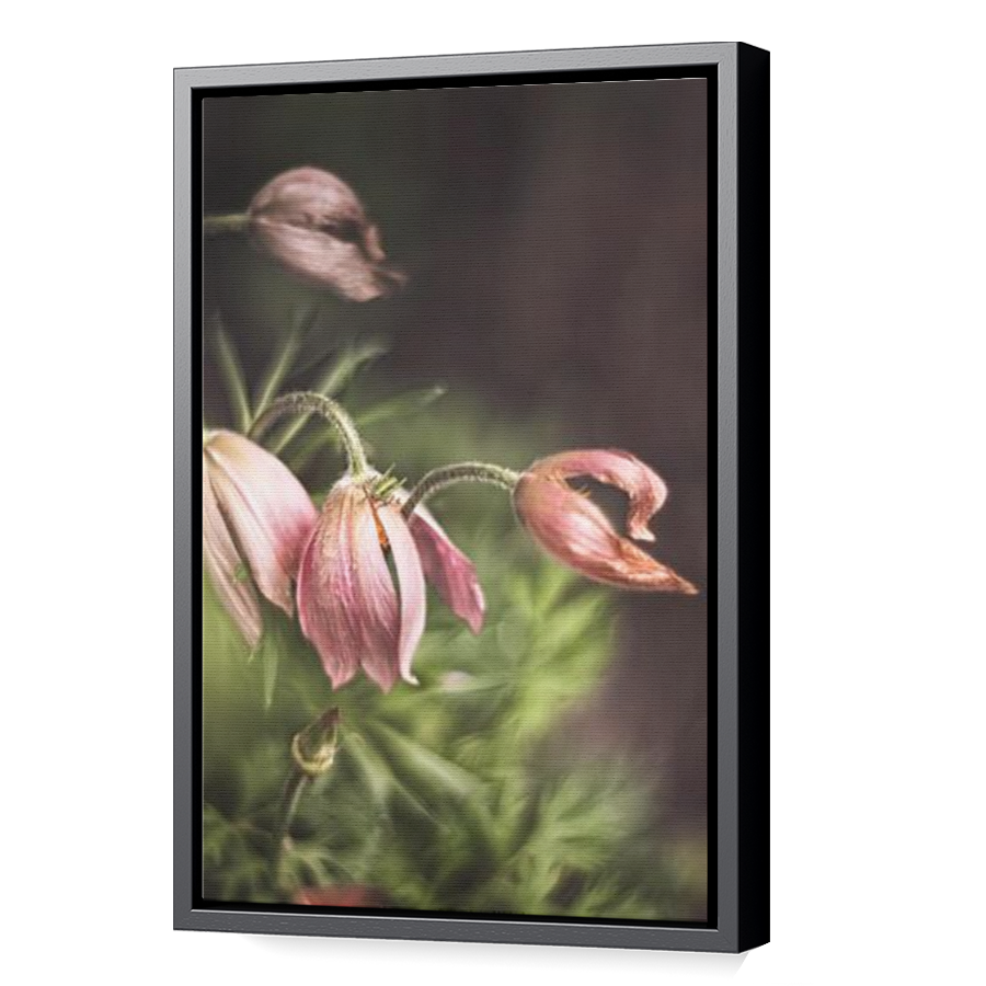 Thumbnail for Canvas - Black Floating Frame