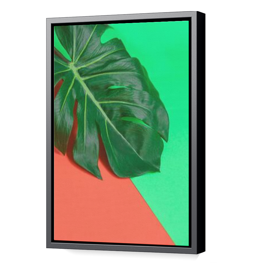 Thumbnail for Canvas - Black Floating Frame