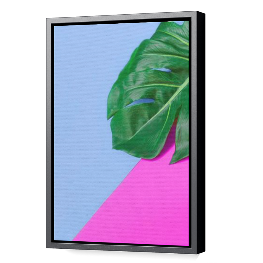 Thumbnail for Canvas - Black Floating Frame