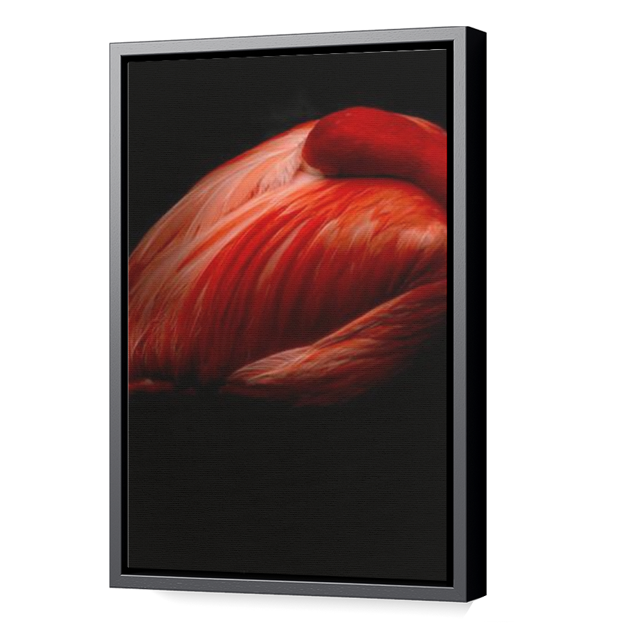 Thumbnail for Canvas - Black Floating Frame