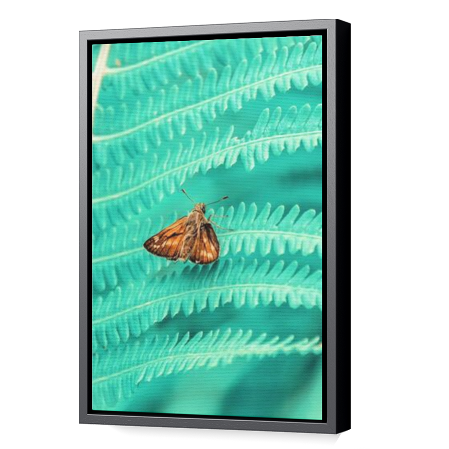 Thumbnail for Canvas - Black Floating Frame