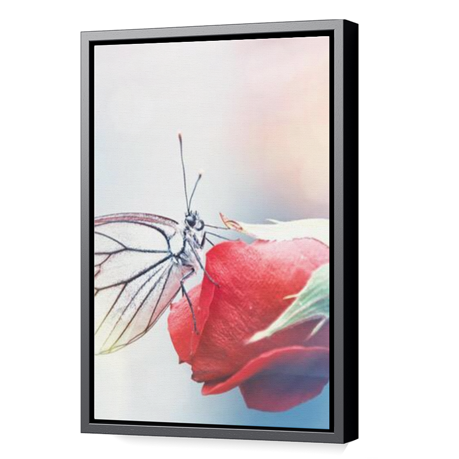 Thumbnail for Canvas - Black Floating Frame