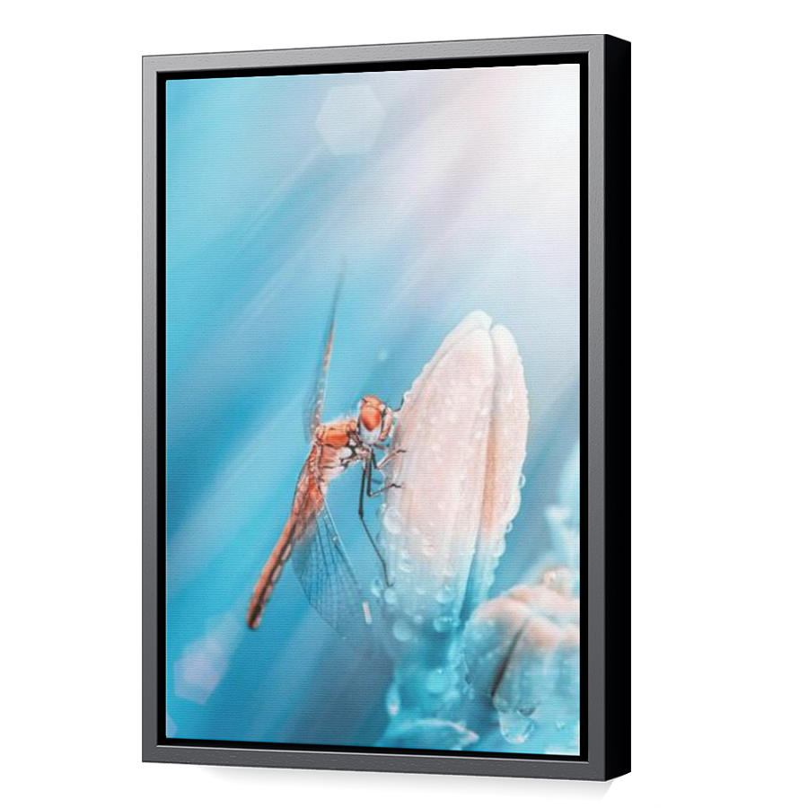 Thumbnail for Canvas - Black Floating Frame