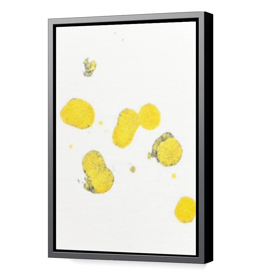 Thumbnail for Canvas - Black Floating Frame