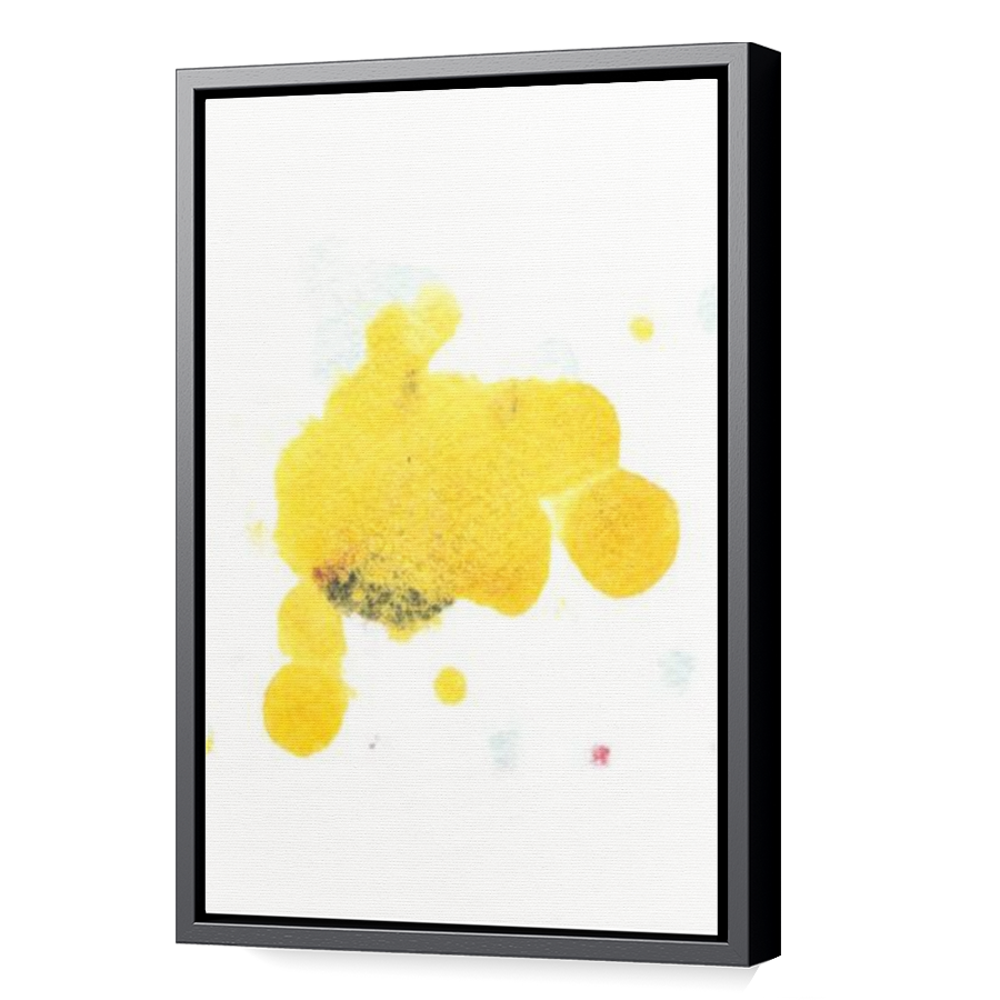 Thumbnail for Canvas - Black Floating Frame