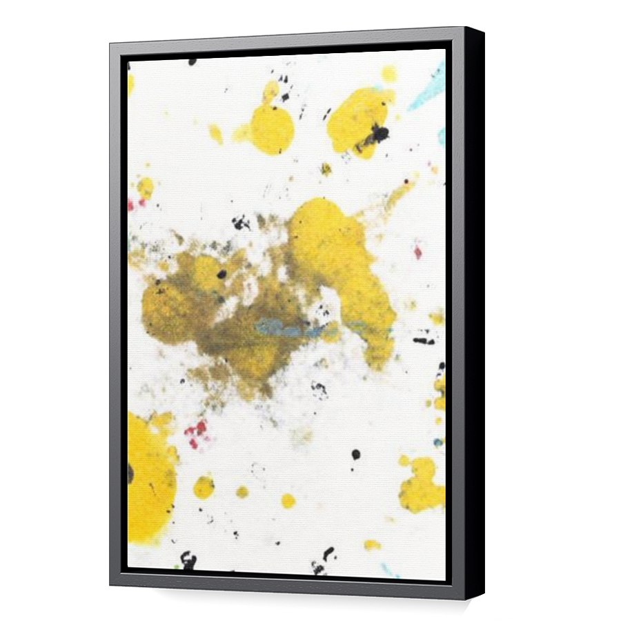 Thumbnail for Canvas - Black Floating Frame