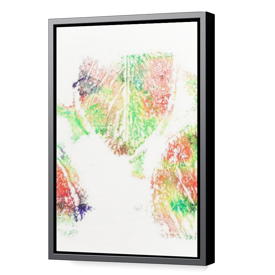 Thumbnail for Canvas - Black Floating Frame