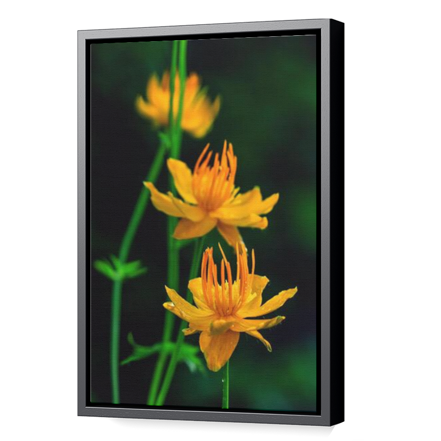 Thumbnail for Canvas - Black Floating Frame