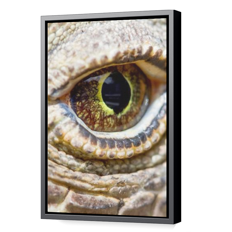 Thumbnail for Canvas - Black Floating Frame
