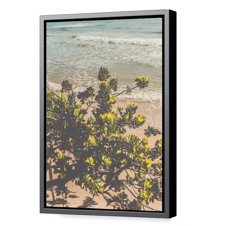 Thumbnail for Canvas - Black Floating Frame