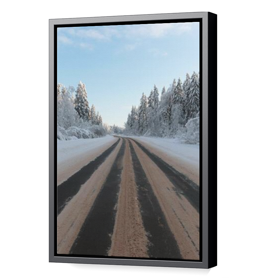 Thumbnail for Canvas - Black Floating Frame