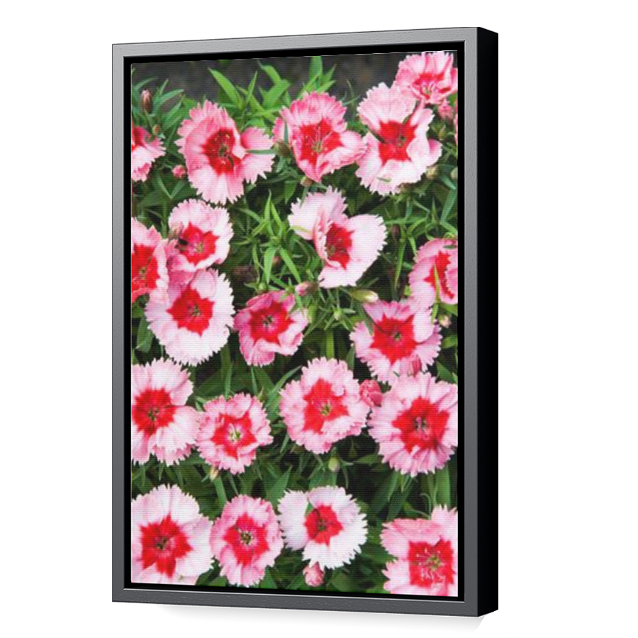 Thumbnail for Canvas - Black Floating Frame