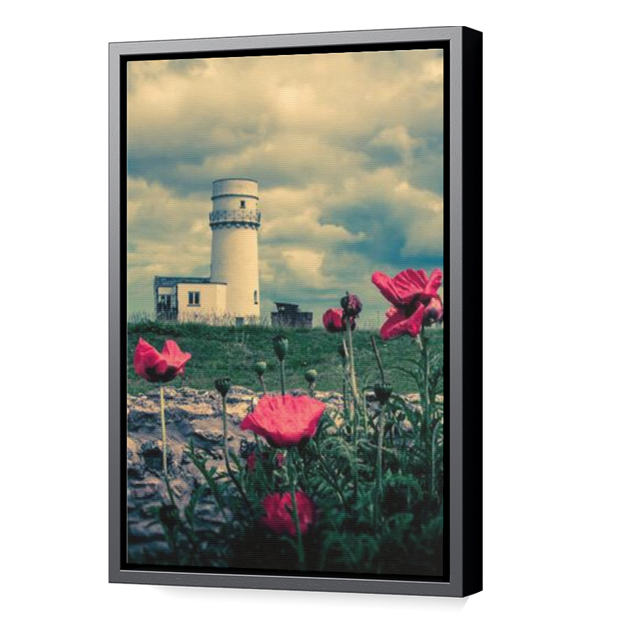 Thumbnail for Canvas - Black Floating Frame