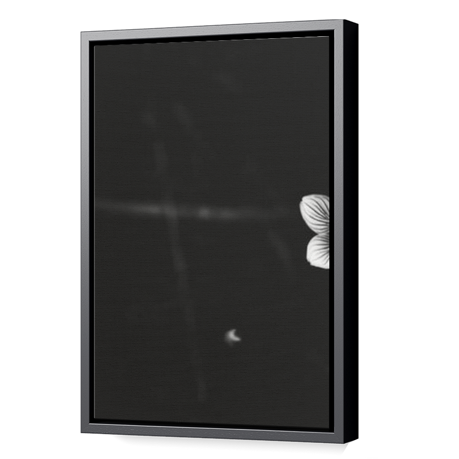 Thumbnail for Canvas - Black Floating Frame