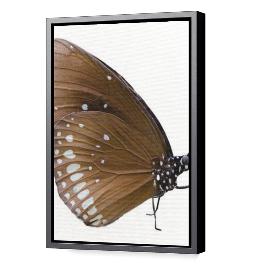 Thumbnail for Canvas - Black Floating Frame