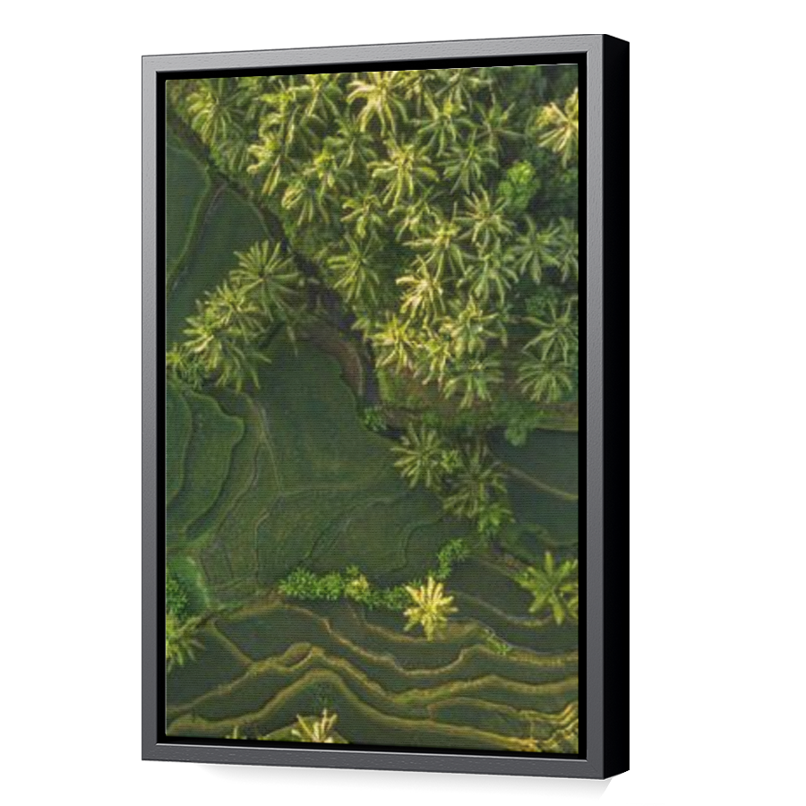 Thumbnail for Canvas - Black Floating Frame