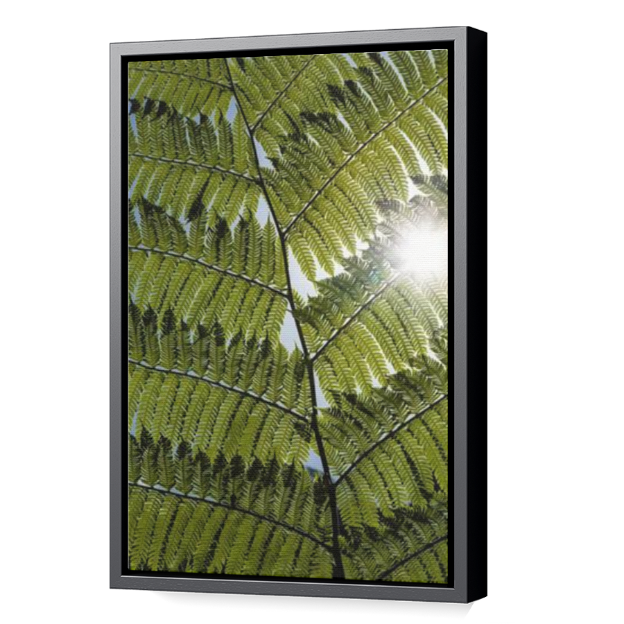 Thumbnail for Canvas - Black Floating Frame