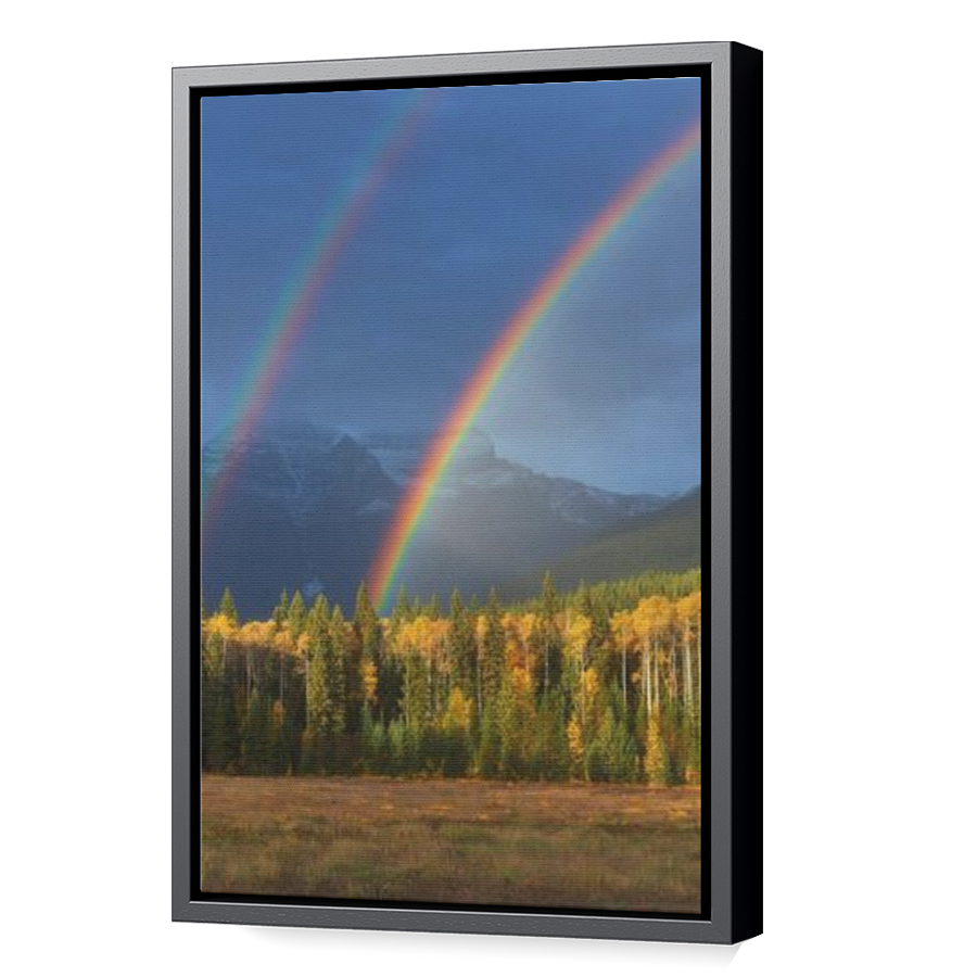 Thumbnail for Canvas - Black Floating Frame