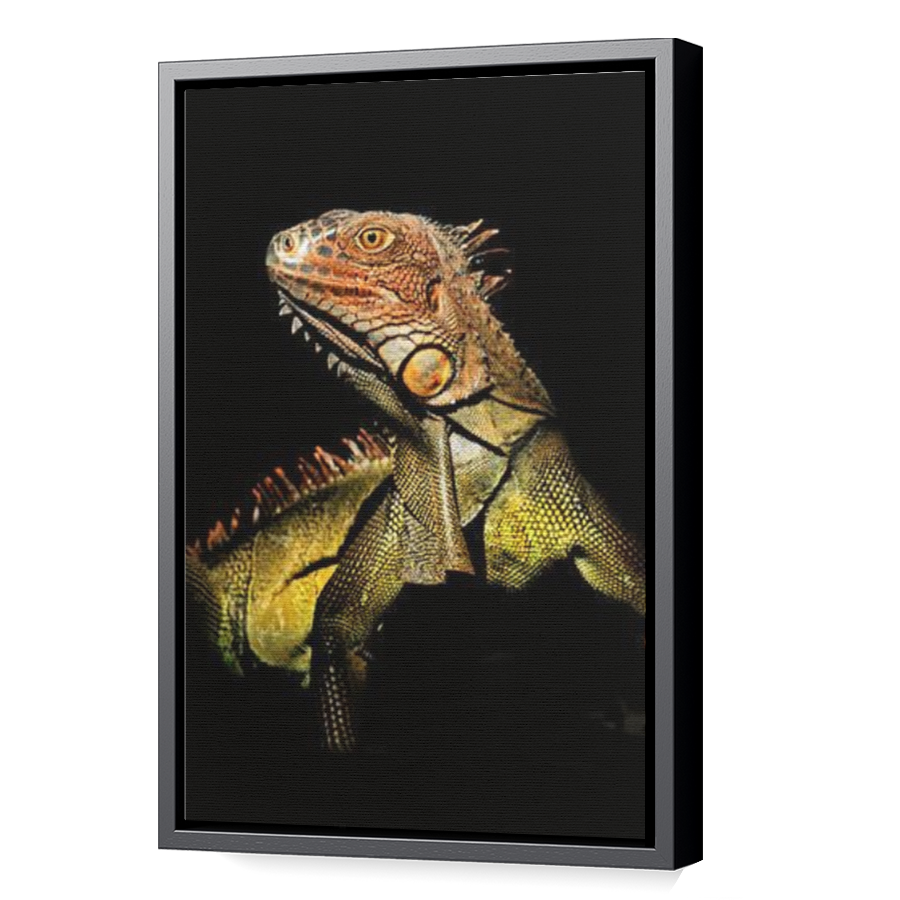 Thumbnail for Canvas - Black Floating Frame