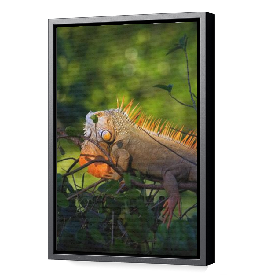 Thumbnail for Canvas - Black Floating Frame