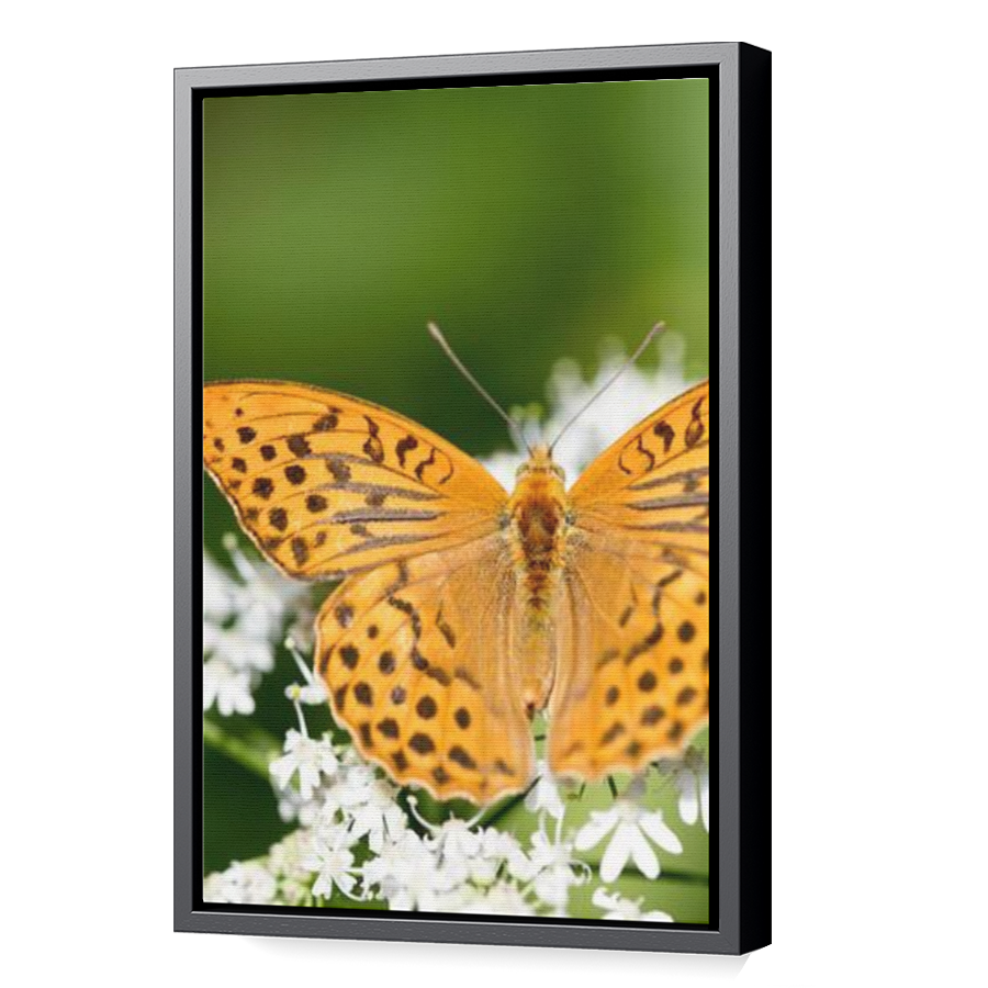 Thumbnail for Canvas - Black Floating Frame