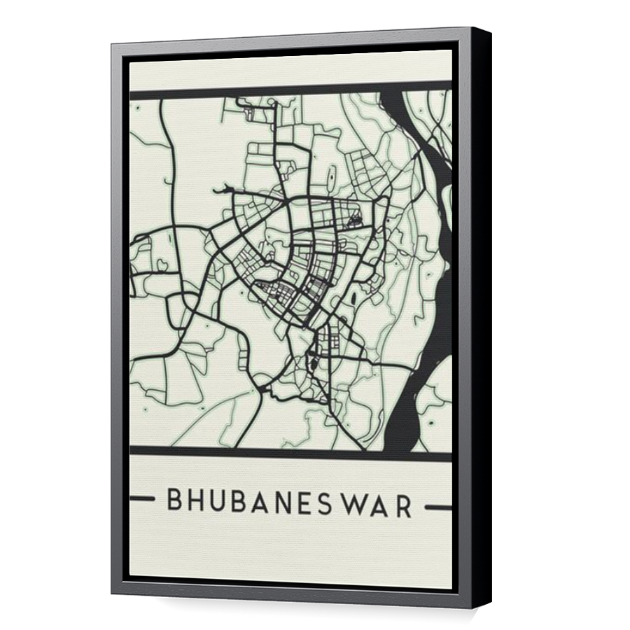 Thumbnail for Canvas - Black Floating Frame