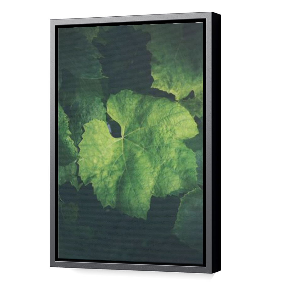 Thumbnail for Canvas - Black Floating Frame