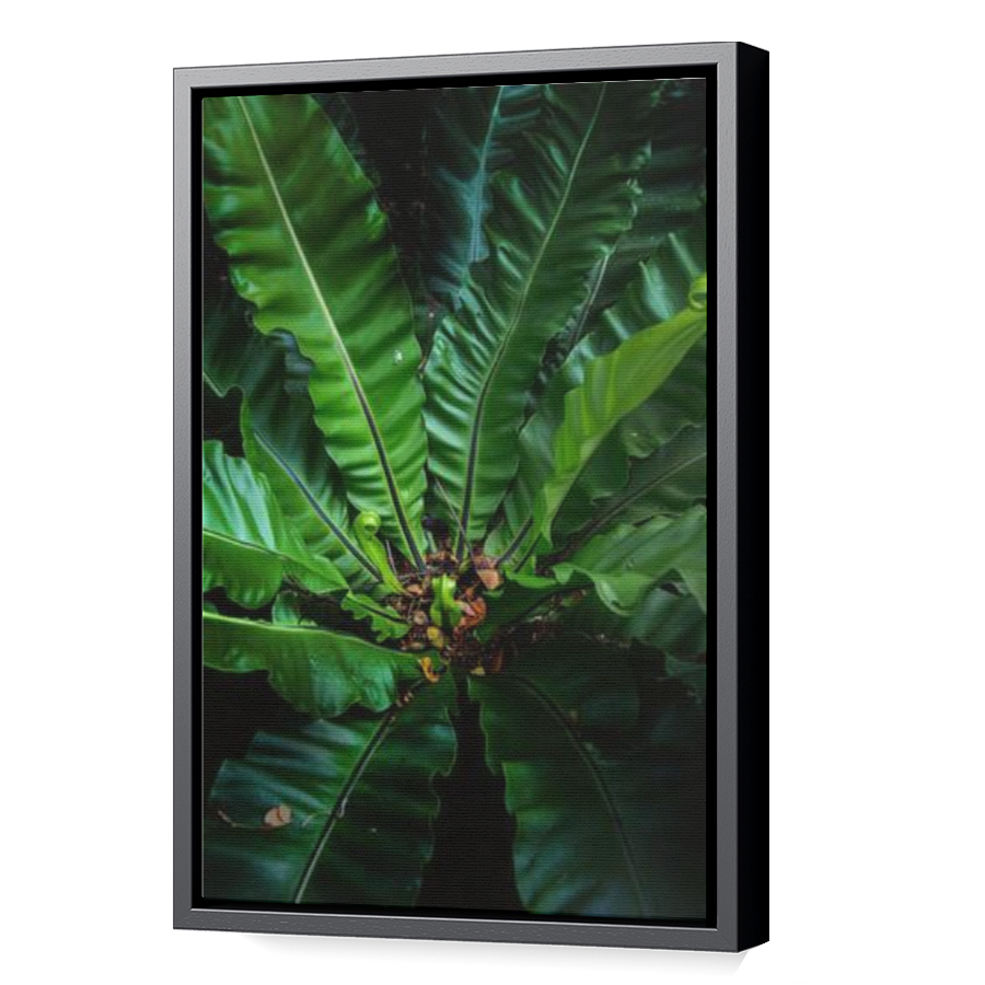 Thumbnail for Canvas - Black Floating Frame