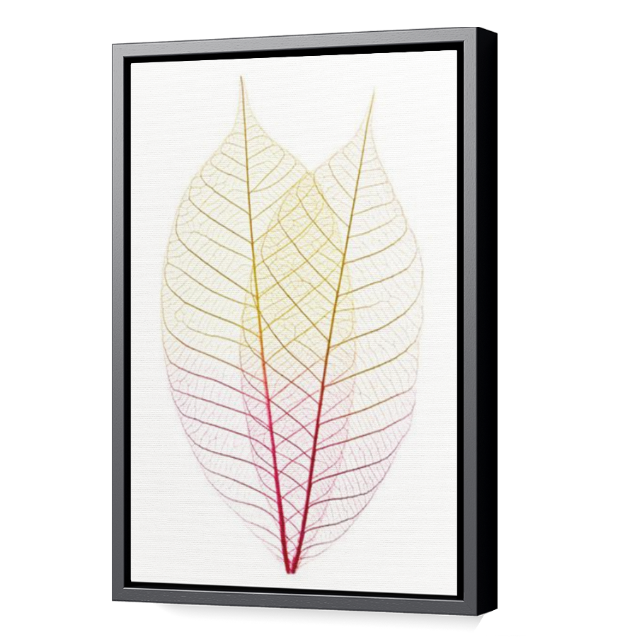 Thumbnail for Canvas - Black Floating Frame