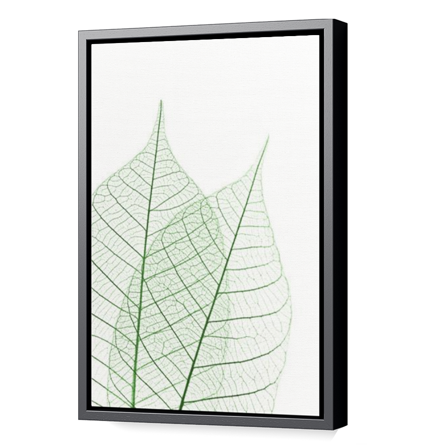 Thumbnail for Canvas - Black Floating Frame