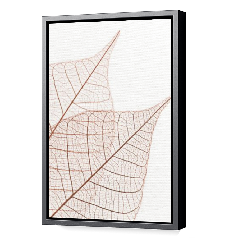 Thumbnail for Canvas - Black Floating Frame