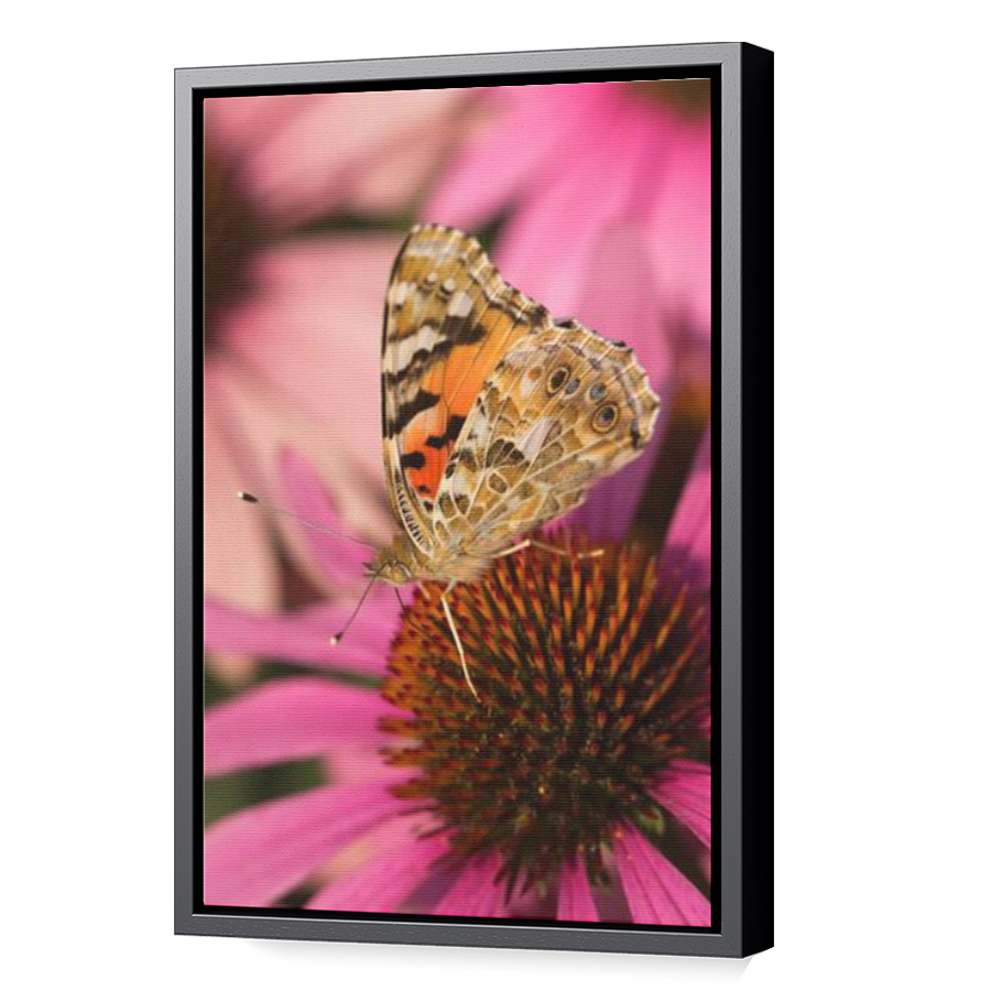 Thumbnail for Canvas - Black Floating Frame