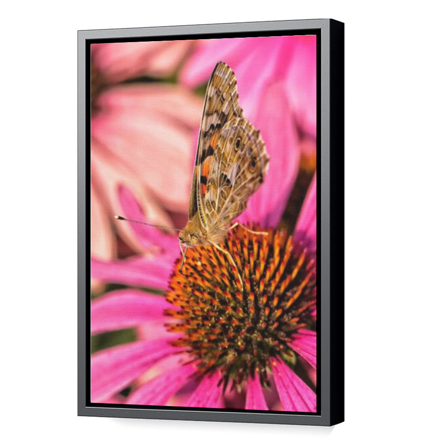Thumbnail for Canvas - Black Floating Frame