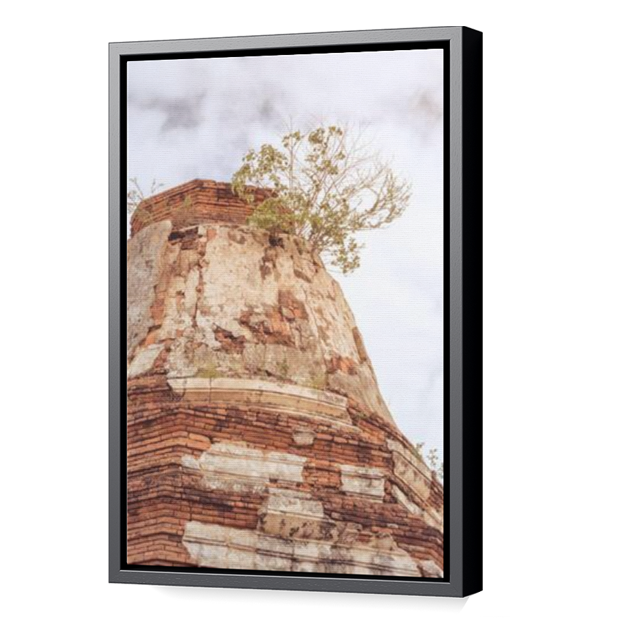 Thumbnail for Canvas - Black Floating Frame