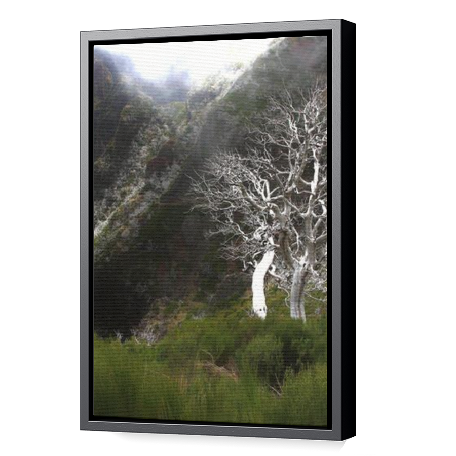 Thumbnail for Canvas - Black Floating Frame
