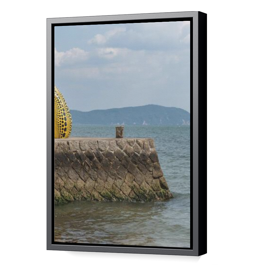 Thumbnail for Canvas - Black Floating Frame